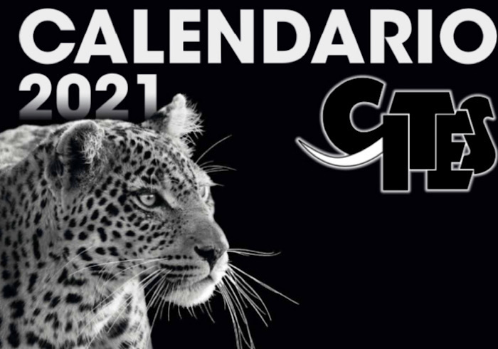 È dedicato agli animali in via d'estinzione il calendario Cites2021, Licia Colò testimonial