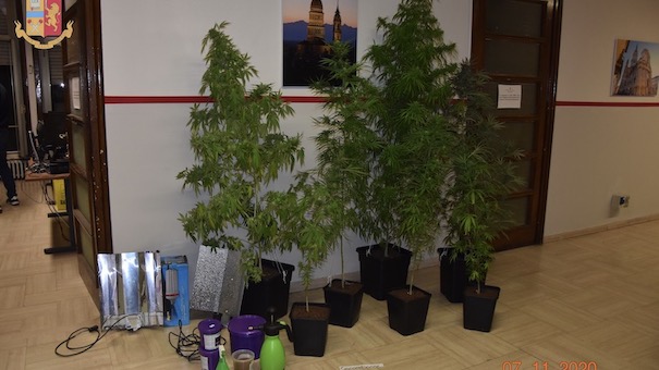 Novara, in pochi giorni due arresti per droga della Polizia di Stato