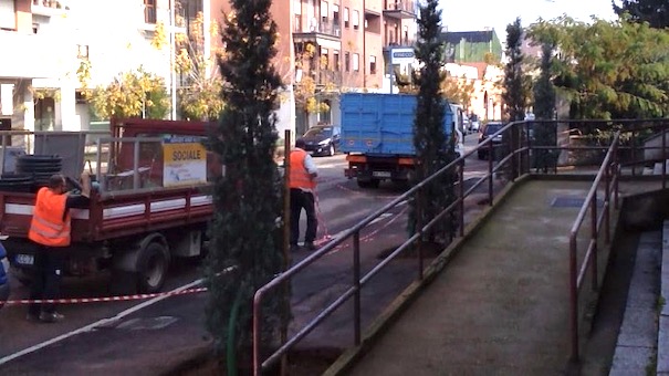 Trecate, conclusa la piantumazione in corso Roma