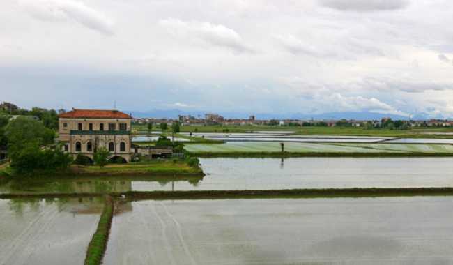 Coldiretti: tanti i danni provocati dal maltempo