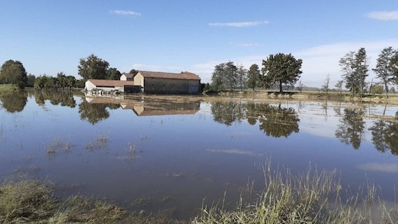 Maltempo, Coldiretti: milioni di danni all'agricoltura nel Piemonte Orientale