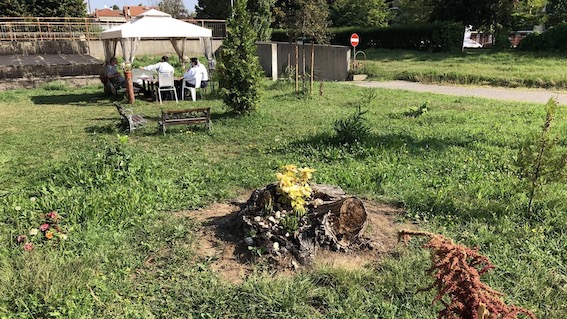 "Sabato Agorà": il 3 ottobre, nuovo patto per la cura del verde e degli spazi comunitari alla Rizzottaglia