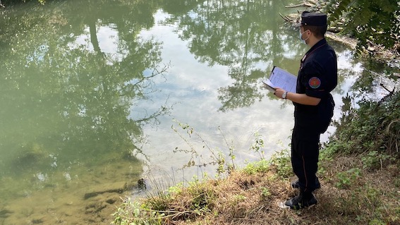 Moria di pesci nel Terdoppio, segnalata una persona per inquinamento ambientale