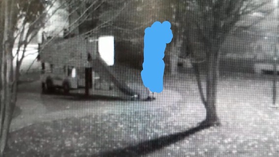 Cameri, imbratta scuolabus e giochi:  responsabile individuato grazie alla videosorveglianza