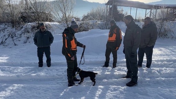 Trasferta bellunese per l'Unità cinofila della Polizia Provinciale