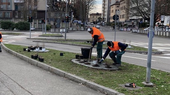Novara, sistemazione delle aiuole in città