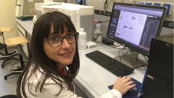 Fondazione Airc e Fondazione Veronesi finanziano quattro studi di ricercatrici dell'Università del Piemonte Orientale