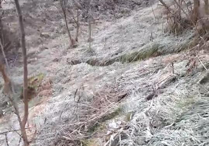 Romentino, ripulita la banchina della tangenziale Nord