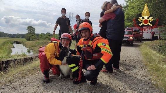 Galliate, cane resta incastrato in un canale: salvato dai vigili del fuoco