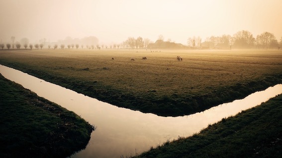A rischio i raccolti per l'allarme acqua