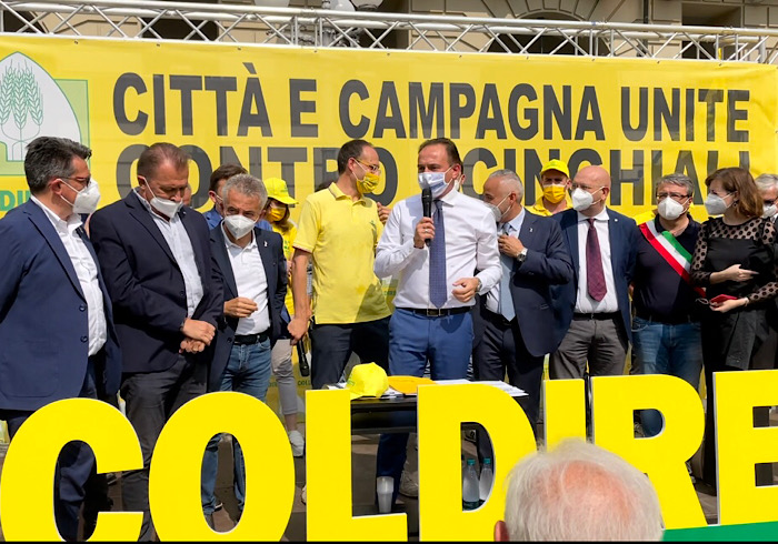 Coldiretti, protesta contro i cinghiali: “Incidenti stradali e raccolto in fumo non più ammissibili”