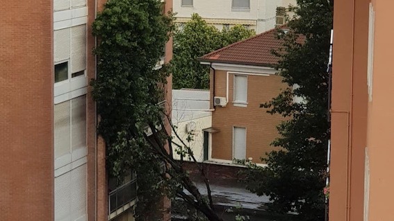 Dopo il maltempo, la conta dei danni