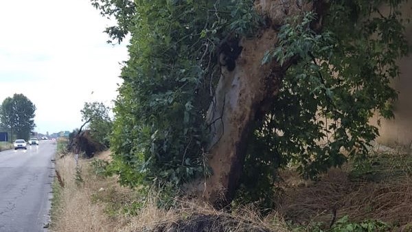 Novarese, chiesto lo stato di emergenza per i comuni colpiti dal maltempo
