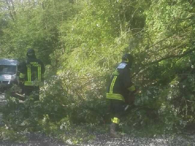 Garbagna Novarese, maltempo: nei prossimi giorni il taglio delle piante pericolose