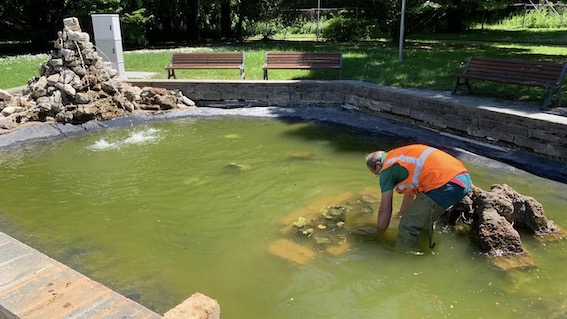 Novara, si sistema il laghetto del Parco dei Bambini