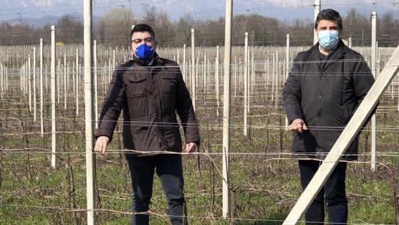  Perugini (Lega), chiesta proroga per le autorizzazioni a reimpianti e impianti per il settore vitivinicolo