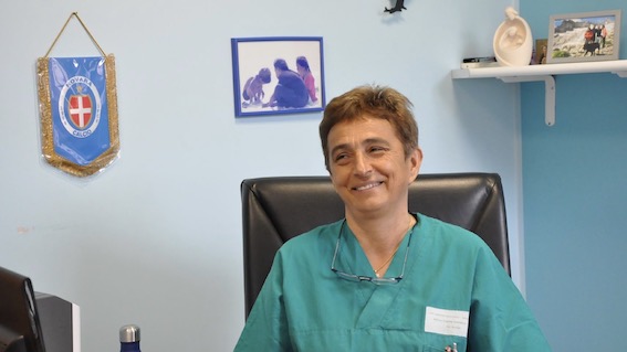 Aou di Novara: nuova direttrice della Terapia Intensiva Neonatale