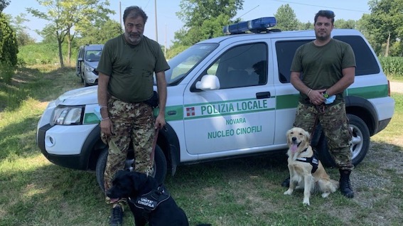 Novara, controlli del nucleo cinofilo della polizia locale