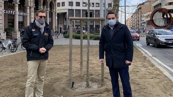 Novara: in corso la piantumazione di 420 alberi in città