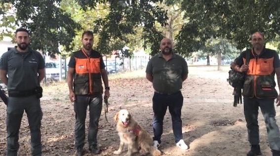 Polizia Provinciale al lavoro nei parchi con il cane anti-veleno del nucleo cinofilo di Belluno