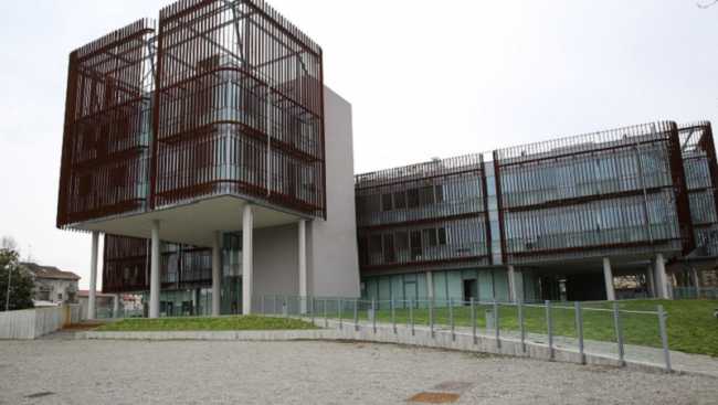 Upo, studio sugli alimenti che riducono il rischio di artrite reumatoide