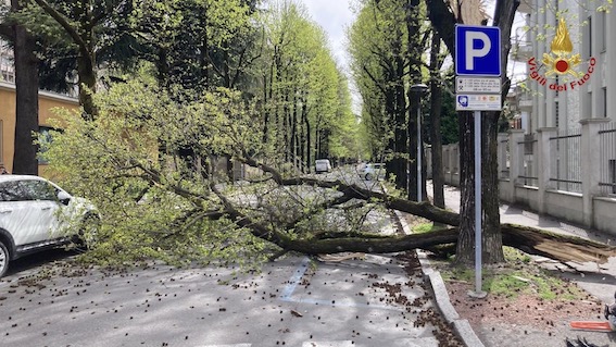 Forte vento, un centinaio le richieste di intervento ai vigili del fuoco nel Novarese. Foto