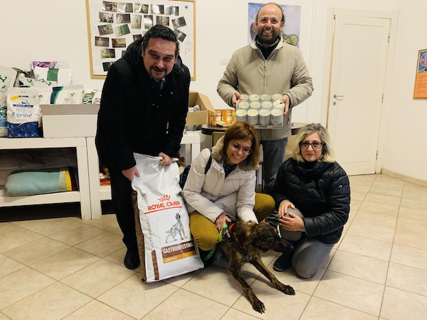 Novara, la cagnolina Zendaya cerca casa