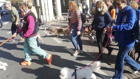  Novara, il 20 febbraio il "Cane..vale" a quattro zampe