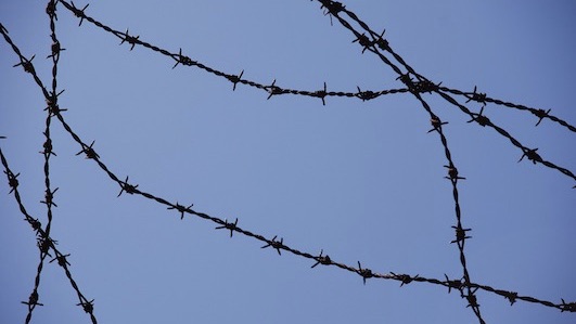 Novara, le iniziative in occasione del Giorno della Memoria