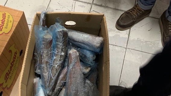 Novara, merce mal conservata: sequestro e sanzioni per market etnico