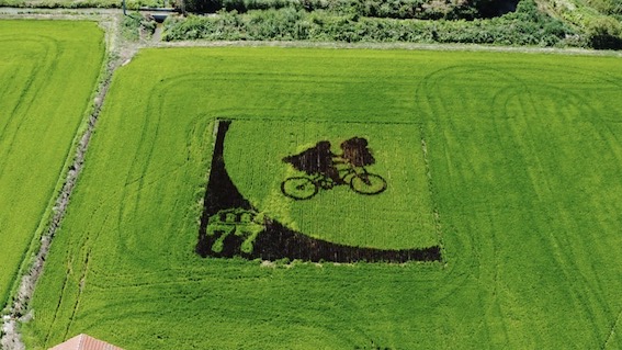"Tanboart", a Borgolavezzaro omaggio ai 40 anni  di "E.T."