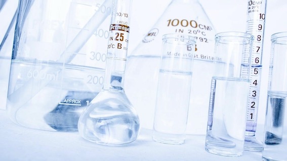 Novara, Summer School per studenti delle superiori alla Facoltà di Scienze del Farmaco dell'Upo