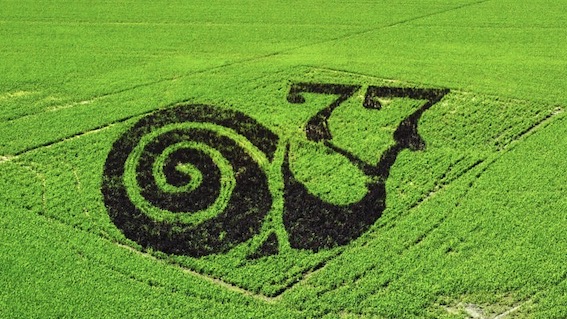 Tornaco, nell'area del Razza77 torna il paesaggio disegnato con la "Tanboart"