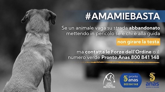Partita la campagna estiva di Anas e LNDC contro l'abbandono di animali