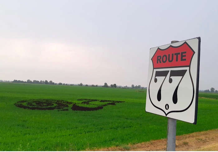 Arte in risaia a Tornaco: E.T e il logo Slow food spuntano nelle risaie della Razza77