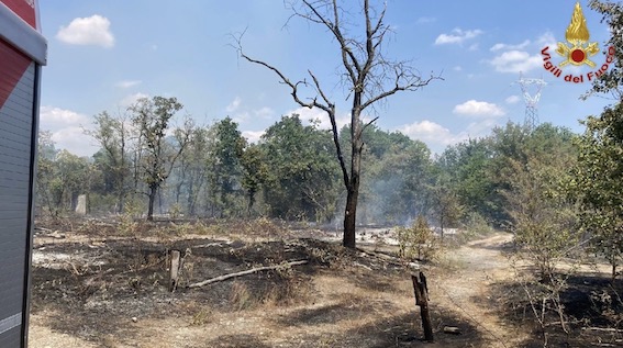 Trecate, incendio nel Parco del Ticino. Foto
