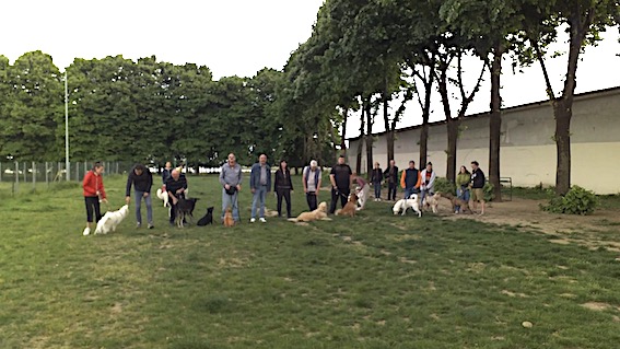 Successo per il primo evento dog friendly a Trecate
