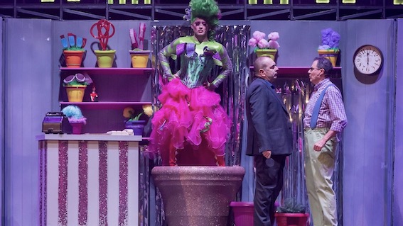 Al Teatro Coccia in scena "La piccola bottega degli orrori"