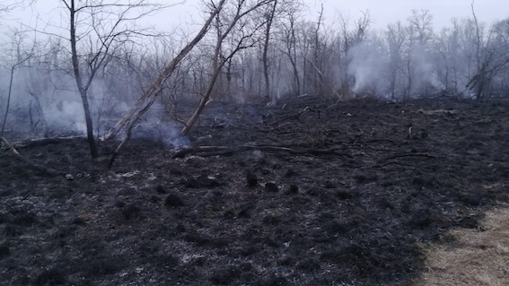 Cameri, incendio al Bosco Vedro: bonifica in corso