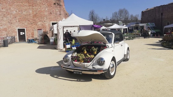 Novara, appuntamento con "Fiorissimo" al Castello. Foto
