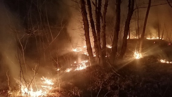 Incendi nell'area del Parco del Ticino a Galliate e Romentino