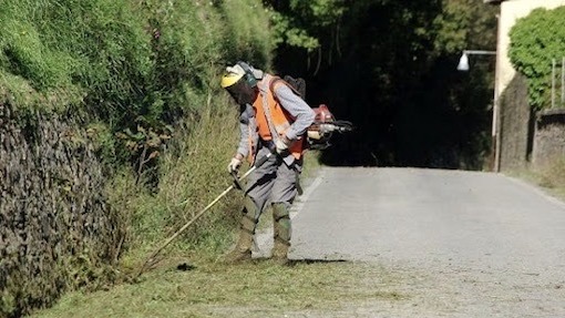 Bellinzago, avviso per la partecipazione al Cantiere di Lavoro “Verde sociale” 