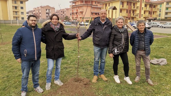 Trecate, piantumati 20 alberi donati dal M5S