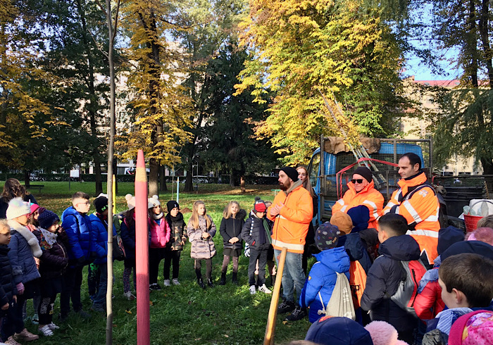 Giornata nazionale degli alberi: 10 nuove piantumazioni a Novara