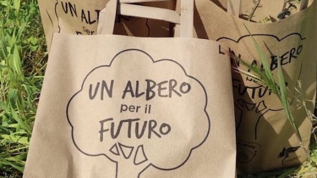Anche a Novara e nel Novarese svolta la “Festa nazionale degli Alberi”