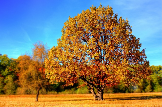Meteo novembre: arriva l'autunno