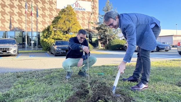 Biandrate, un bosco di aceri intorno ad uno stabilimento