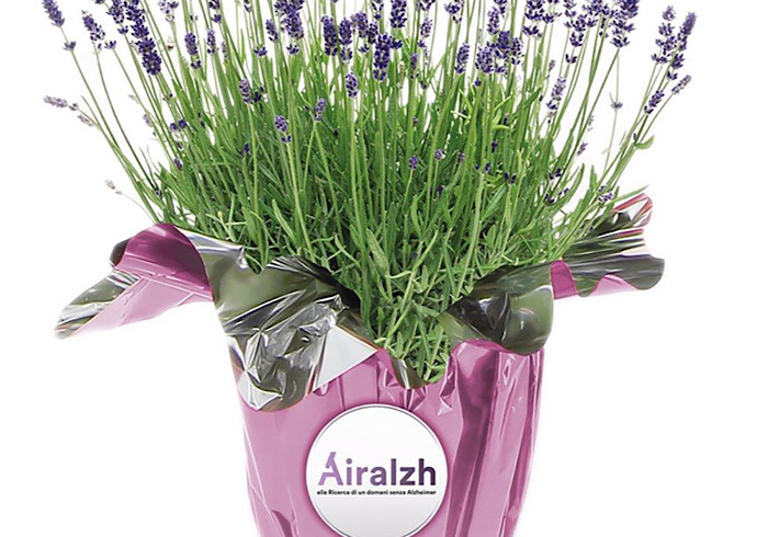 Anche a Novara l’iniziativa di Orpea Italia con Airalzh per la ricerca contro l’Alzheimer