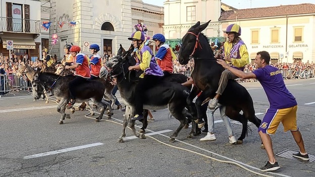 Cameri, confermato il Palio degli Asini ma in altra location