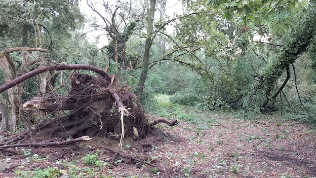 Borgolavezzaro, danni alle oasi. Appello dei Burchvif per aiuti nel ripristino